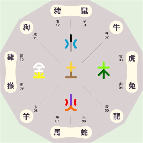 十二生肖 五行|“十二生肖”与“五行”的关系，来看看你的生肖五行属什么？